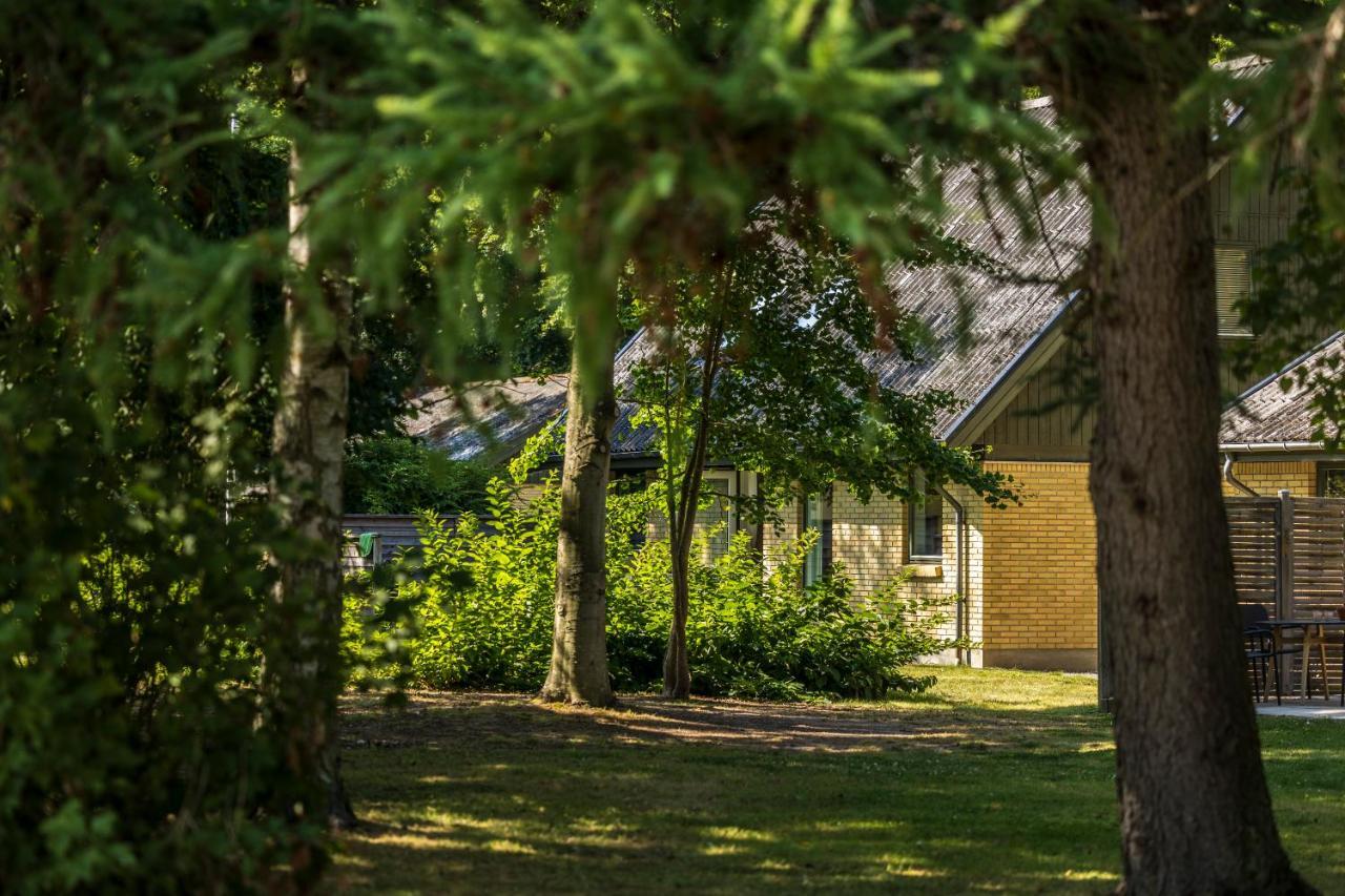 Pederstrup Bed And Breakfast Torrig Bagian luar foto